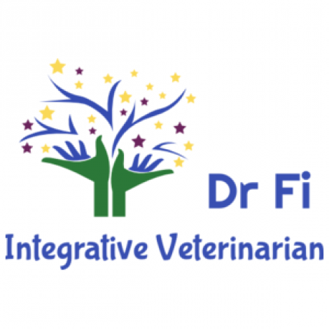 DrFi Integrative Veterinarian